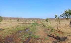 Skyraptor International Founders